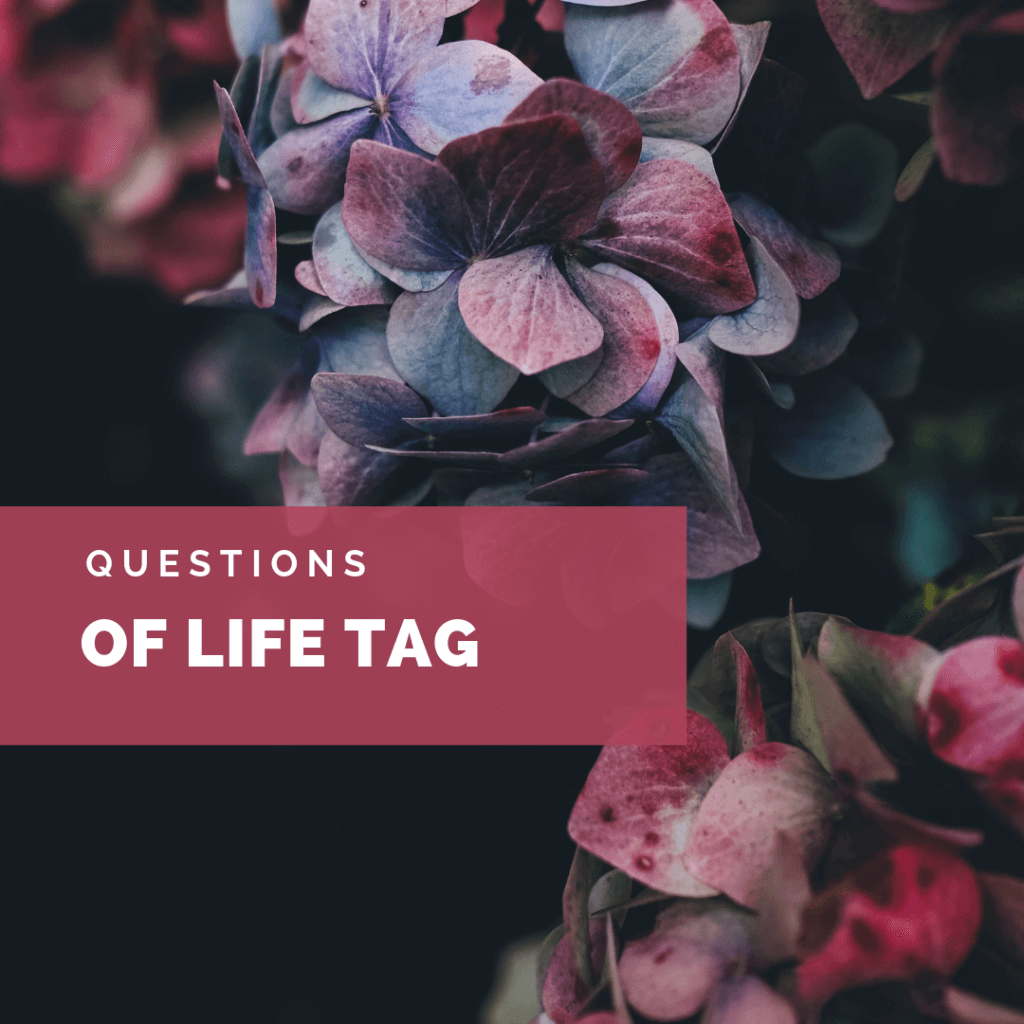 questions of life tag