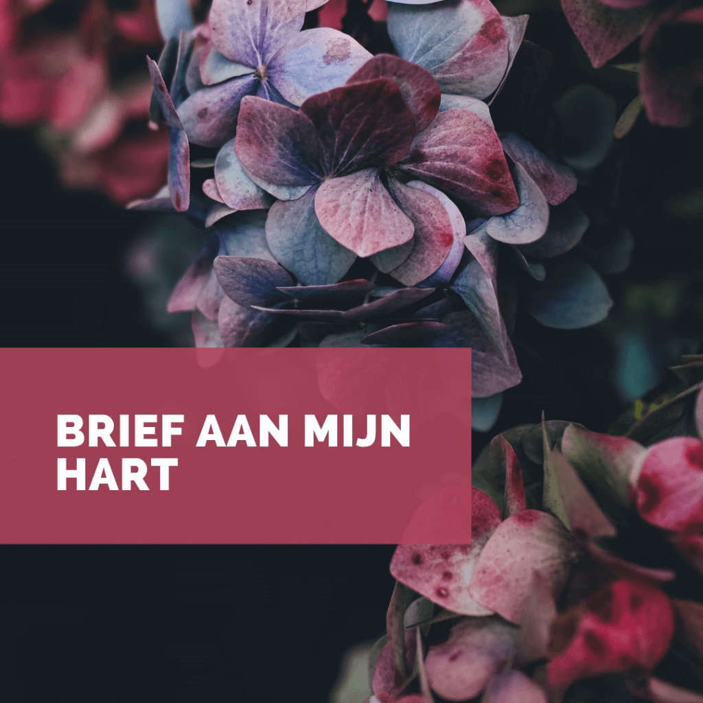 brief aan mijn hart