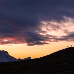 Korte kapsels 70 plus: stijlvol, makkelijk en fris