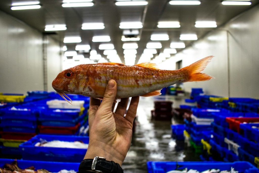 Mullet kapsel met krullen: zo werkt deze combinatie